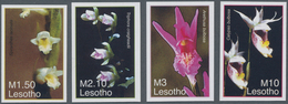 Thematik: Flora-Orchideen / Flora-orchids: 2007, Lesotho. Complete Set "Orchids From Around The Worl - Orchideen