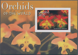 Thematik: Flora-Orchideen / Flora-orchids: 2007, Lesotho. Imperforate Souvenir Sheet (1 Value) From - Orchideen