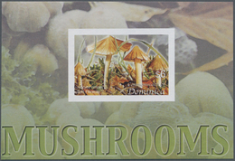 Thematik: Pilze / Mushrooms: 2005, Dominica. Imperforate Souvenir Sheet (1 Value) Showing "Split Fib - Champignons