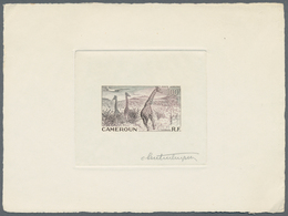 Thematik: Tiere, Fauna / Animals, Fauna: 1955, Cameroon. Lot Of 4 Epreuves D'artiste Signée For The - Autres & Non Classés