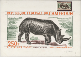 Thematik: Tiere, Fauna / Animals, Fauna: 1964, Cameroon. Artwork For The Fauna Issue Showing "Black - Autres & Non Classés
