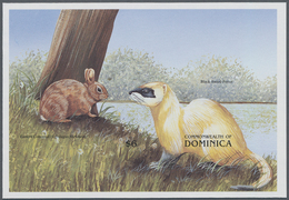 Thematik: Tiere, Fauna / Animals, Fauna: 1999, Dominica. Imperforate Souvenir Sheet (1 Value) Showin - Sonstige & Ohne Zuordnung