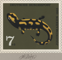 Thematik: Tiere-Amphibien / Animals-amphibian: 1963, Bund, Nicht Angenommener Künstlerentwurf (20x17 - Sonstige & Ohne Zuordnung