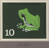 Thematik: Tiere-Amphibien / Animals-amphibian: 1963, Bund, Nicht Angenommener Künstlerentwurf (21x17 - Autres & Non Classés