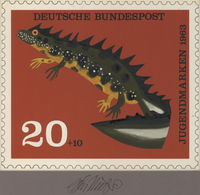 Thematik: Tiere-Amphibien / Animals-amphibian: 1963, Bund, Nicht Angenommener Künstlerentwurf (21x17 - Sonstige & Ohne Zuordnung