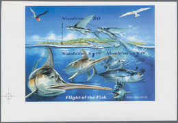 Thematik: Tiere-Fische / Animals-fishes: 2001, TONGA-NIUAFO'OU: Fishes Complete Set Of Three In Vert - Fische