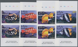 Thematik: Tiere-Fische / Animals-fishes: 2003, MALDIVES: Coral Fishes Complete Set Of Four In Vertic - Pesci