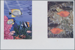 Thematik: Tiere-Fische / Animals-fishes: 2003, MALDIVES And GUYANA: Fishes Horizontal Pair Of Two Di - Fishes