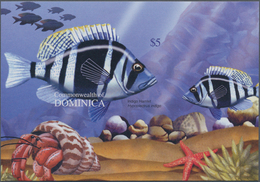 Thematik: Tiere-Fische / Animals-fishes: 2004, Dominica. Imperforate Souvenir Sheet (1 Value) Showin - Fische