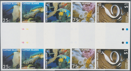 Thematik: Tiere-Fische / Animals-fishes: 2006, CAYMAN ISLANDS: Sea Animals Complete Set Of Five (fis - Fische