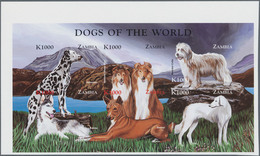 Thematik: Tiere-Hunde / Animals-dogs: 1999, ZAMBIA: Dogs Set In Two Perforate And IMPERFORATE Sheetl - Hunde