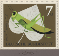 Thematik: Tiere-Insekten / Animals-insects: 1962, Bund, Nicht Angenommener Künstlerentwurf (21x17) V - Autres & Non Classés