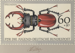 Thematik: Tiere-Insekten / Animals-insects: 1993, Bund, Nicht Angenommener Künstlerentwurf (26x16) V - Other & Unclassified