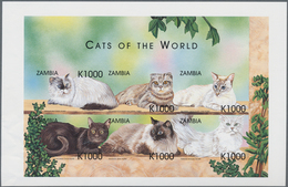 Thematik: Tiere-Katzen / Animals-cats: 1999, ZAMBIA: Cats Set In Two IMPERFORATE Sheetlets With Six - Chats Domestiques