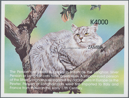 Thematik: Tiere-Katzen / Animals-cats: 1999, ZAMBIA: Cats Set In Of Two IMPERFORATE Miniature Sheets - Hauskatzen