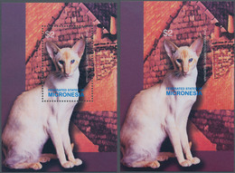 Thematik: Tiere-Katzen / Animals-cats: 2003, MICRONESIA: Siamese Cat In A Perforate And IMPERFORATE - Chats Domestiques