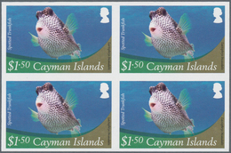 Thematik: Tiere-Meerestiere / Animals-sea Animals: 2012, Cayman Islands. Imperforate Block Of 4 For - Vie Marine