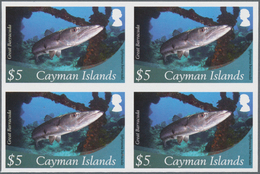 Thematik: Tiere-Meerestiere / Animals-sea Animals: 2012, Cayman Islands. Imperforate Block Of 4 For - Vie Marine