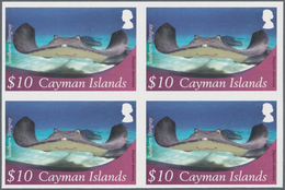 Thematik: Tiere-Meerestiere / Animals-sea Animals: 2012, Cayman Islands. Imperforate Block Of 4 For - Meereswelt