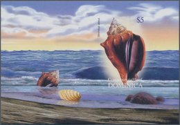 Thematik: Tiere-Meerestiere-Muscheln / Animals-sea Animals-shells: 2004, Dominica. Imperforate Souve - Muscheln