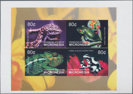 Thematik: Tiere-Reptilien / Animals-reptiles: 2003, MICRONESIA: Reptiles And Amphibians Complete Set - Sonstige & Ohne Zuordnung