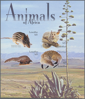 Thematik: Tiere-Säugetiere / Animals-mammals: 2004, Lesotho. Imperforate Miniature Sheet Of 4 For Th - Autres & Non Classés