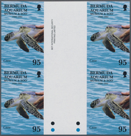 Thematik: Tiere-Schildkröten / Animals-turtles: 2001, BERMUDA: Sea Turtle In Bermuda Aquarium 95c. I - Schildpadden