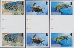 Thematik: Tiere-Schildkröten / Animals-turtles: 2005, BRITISH INDIAN OCEAN TERRITORY: Turtles Comple - Turtles