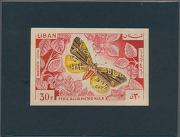 Thematik: Tiere-Schmetterlinge / Animals-butterflies: 1965, Libanon, Issue Butterflys, Artist Drawin - Schmetterlinge