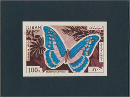 Thematik: Tiere-Schmetterlinge / Animals-butterflies: 1965, Libanon, Issue Butterflys, Artist Drawin - Schmetterlinge