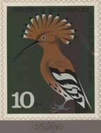 Thematik: Tiere-Singvögel / Animals-singing Birds: 1963, Bund, Original-Künstlerentwurf (17x20) Von - Songbirds & Tree Dwellers