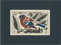 Thematik: Tiere-Vögel / Animals-birds: 1965, Libanon, Issue Birds, Artist Drawing (136x89) 5 Pia. Bu - Autres & Non Classés