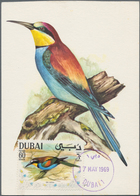 Thematik: Tiere-Vögel / Animals-birds: 1969, Dubai. Maximum Card For The Stamp "60dh Bee-eater". Unu - Autres & Non Classés