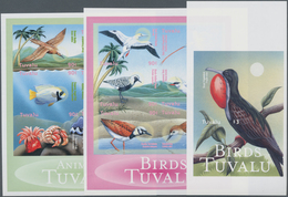 Thematik: Tiere-Vögel / Animals-birds: 2000, TUVALU: Native Birds And Some Other Animals (dolphin, C - Autres & Non Classés