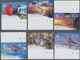 Thematik: Tiere-Vögel / Animals-birds: 2004, BRITISH INDIAN OCEAN TERRITORY: Bird Definitives Comple - Autres & Non Classés