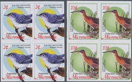 Thematik: Tiere-Vögel / Animals-birds: 2004, MICRONESIA: Definitive Issue 'birds' Set Of Two With 2c - Autres & Non Classés