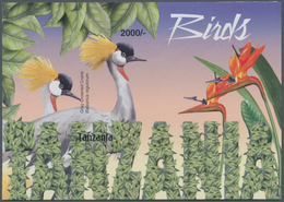Thematik: Tiere-Vögel / Animals-birds: 2004, Tanzania. Imperforate Souvenir Sheet (1 Value) From The - Sonstige & Ohne Zuordnung