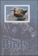 Thematik: Tiere-Vögel / Animals-birds: 2005, Dominica. Imperforate Souvenir Sheet (1 Value) Showing - Autres & Non Classés