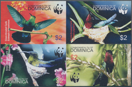 Thematik: Tiere-Vögel / Animals-birds: 2005, Dominica. Imperforate Se-tenant Block Of 4 For The Seri - Sonstige & Ohne Zuordnung
