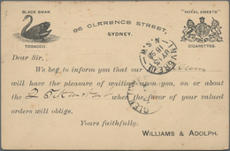 Thematik: Tiere-Wasservögel / Animals-water Birds: 1898, New South Wales. Representative Postcard 1d - Other & Unclassified