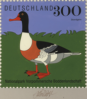 Thematik: Tiere-Wasservögel / Animals-water Birds: 1996, Bund, Nicht Angenommener Künstlerentwurf (2 - Sonstige & Ohne Zuordnung