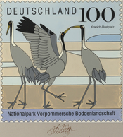 Thematik: Tiere-Wasservögel / Animals-water Birds: 1996, Bund, Nicht Angenommener Künstlerentwurf (2 - Sonstige & Ohne Zuordnung