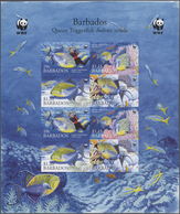 Thematik: WWF: 2006, BARBADOS: WWF 'Queen Triggerfish (Balistes Vetula)' In A Perforate And IMPERFOR - Sonstige & Ohne Zuordnung