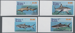 Antigua: 2010, Sharks Complete IMPERFORATE Set Of Four (Nurse Shark, Caribbean Reef Shark. Tiger Sha - Antigua En Barbuda (1981-...)