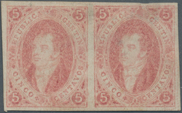 Argentinien: 1867 'Rivadavias' 5c. Light Rose, No Watermark, 6th Printing, IMPERFORATED HORIZONTAL P - Andere & Zonder Classificatie