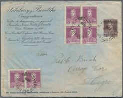Argentinien - Ganzsachen: 1924, Stationery Envelope On Private Order San Martin 2 C Deep-brown On Bl - Ganzsachen