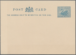Westaustralien: 1910, Stat. Postcard Swan 1d. Steel Blue (Bronze Blue) Without Borders On Unsurfaced - Lettres & Documents
