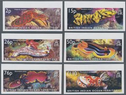 Britisches Territorium Im Indischen Ozean: 2003, Nudibranch Snails Complete IMPERFORATE Set Of Six F - Other & Unclassified