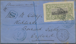 Französische Somaliküste: 1899, Definitives "Views Of Djibouti" 1fr. Olive/black, Single Franking On - Lettres & Documents