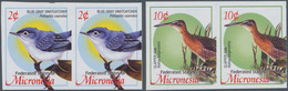 Mikronesien: 2004, Definitive Issue 'birds' Set Of Two With 2c. Polioptila Caerulea And 10c. Rallus - Mikronesien